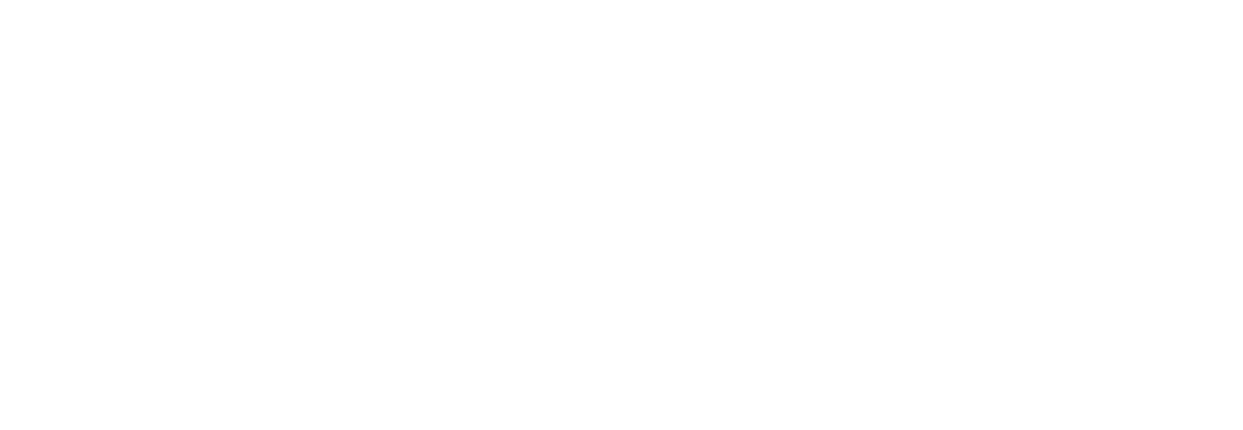 Zingo Kids